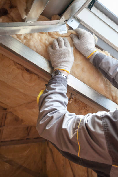 Best Insulation Contractors for Homes  in Skyline Acres, OH