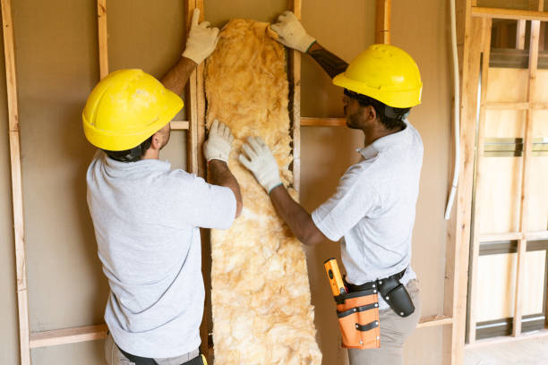 Best Fiberglass Insulation  in Skyline Acres, OH