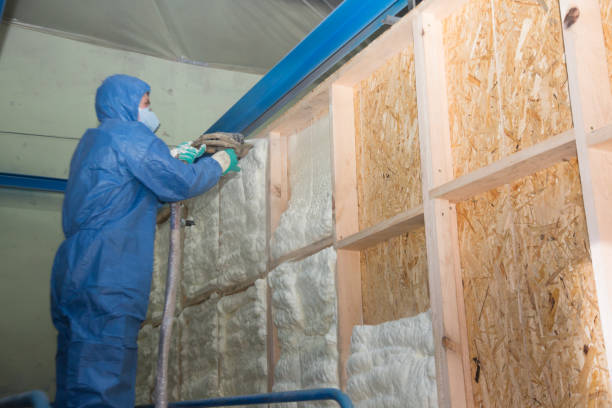 Best Spray Foam Insulation  in Skyline Acres, OH